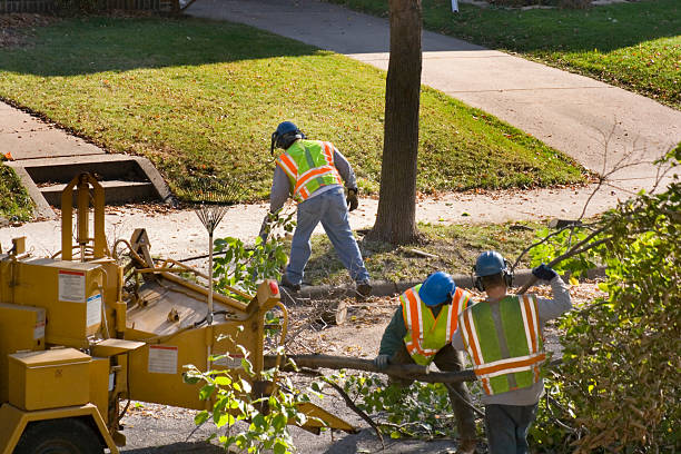 Best Lawn Irrigation Installation and Maintenance  in , MN